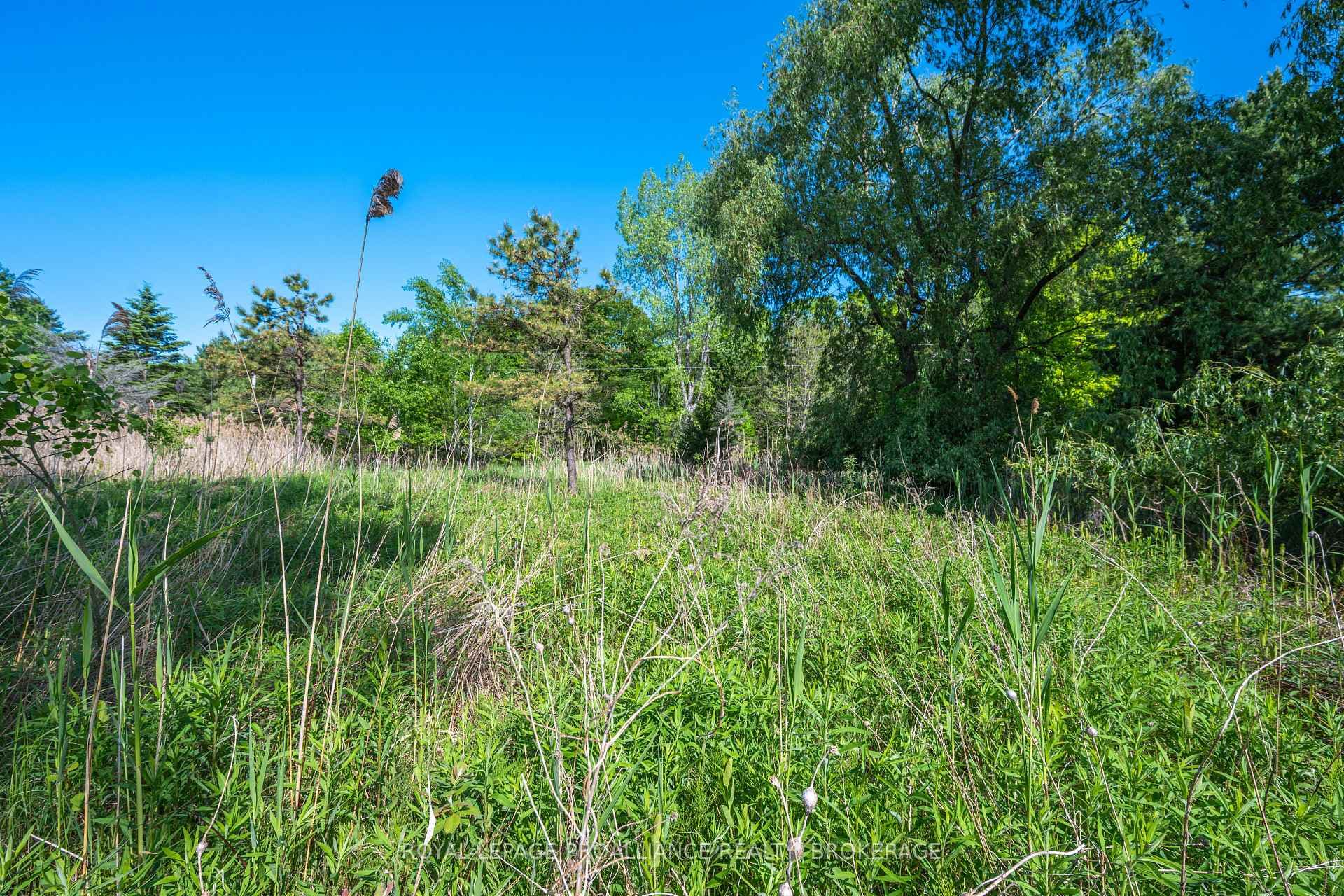 1168 Thousand Island Parkway photo 17