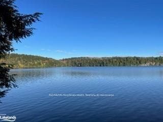 1440-5 WEST OXBOW LAKE Road photo 12