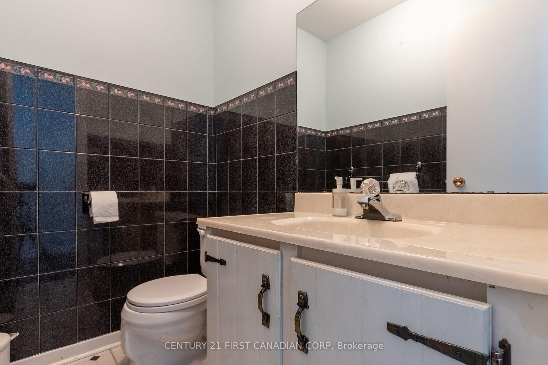 700 Osgoode Drive Unit 100 photo 14