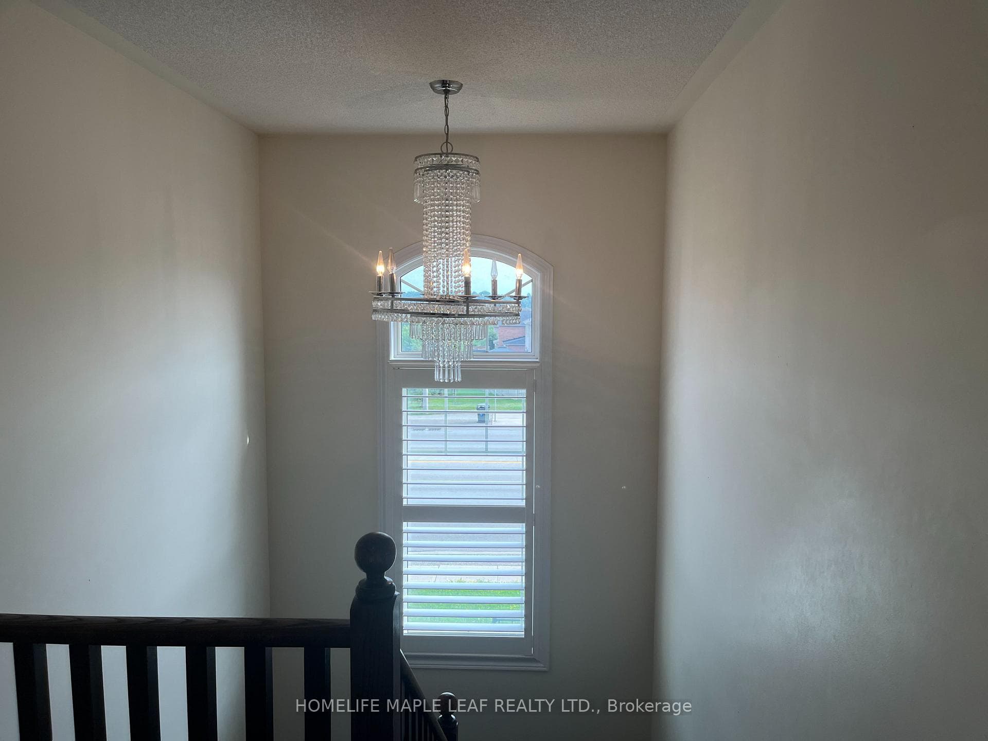 14 Nightland Court photo 13