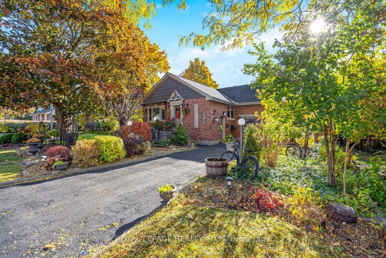 62 Nelson Court photo 3