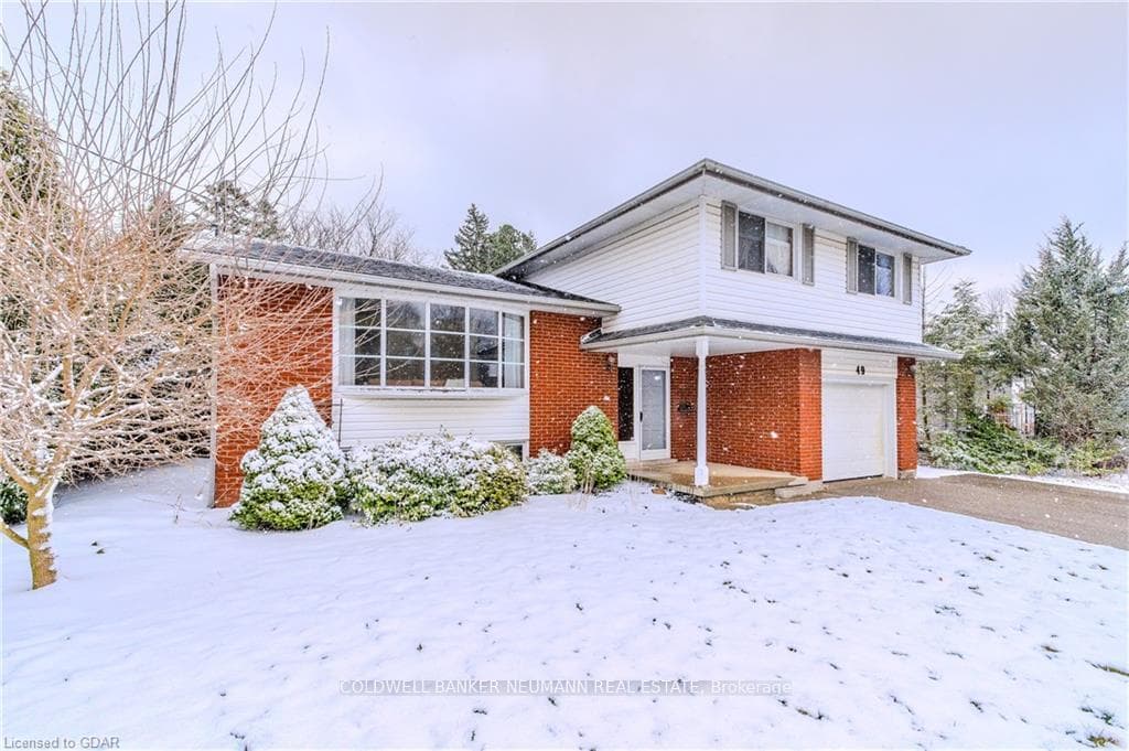 49 Windsor Street photo 1