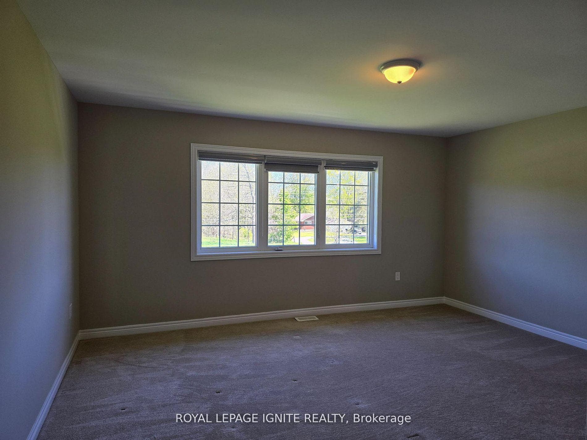73 Summer Breeze Drive photo 38