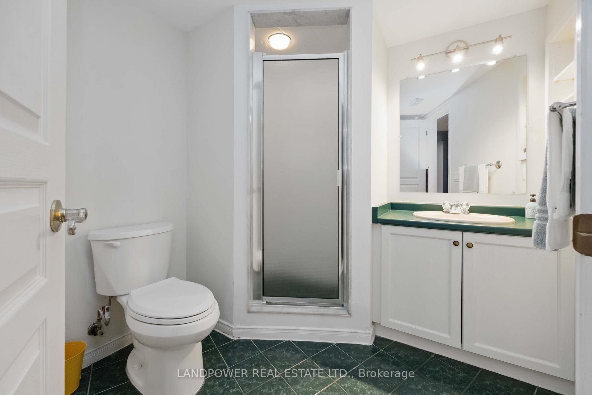 Basement Br Ensuite Bath