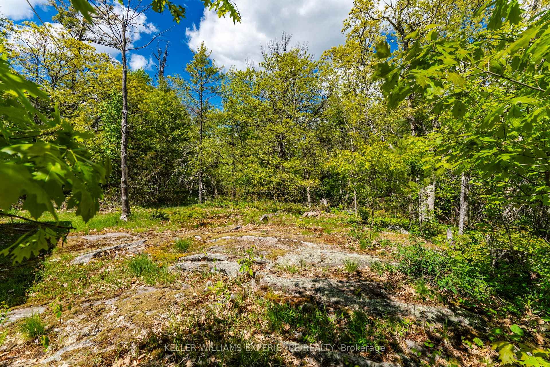 6932 ISLAND 1810 / BONE ISLAND N/A photo 29