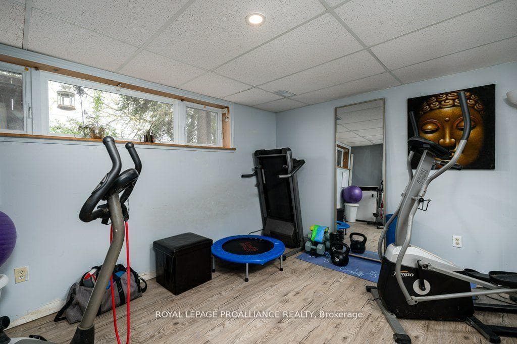 44 Sidney Street photo 26