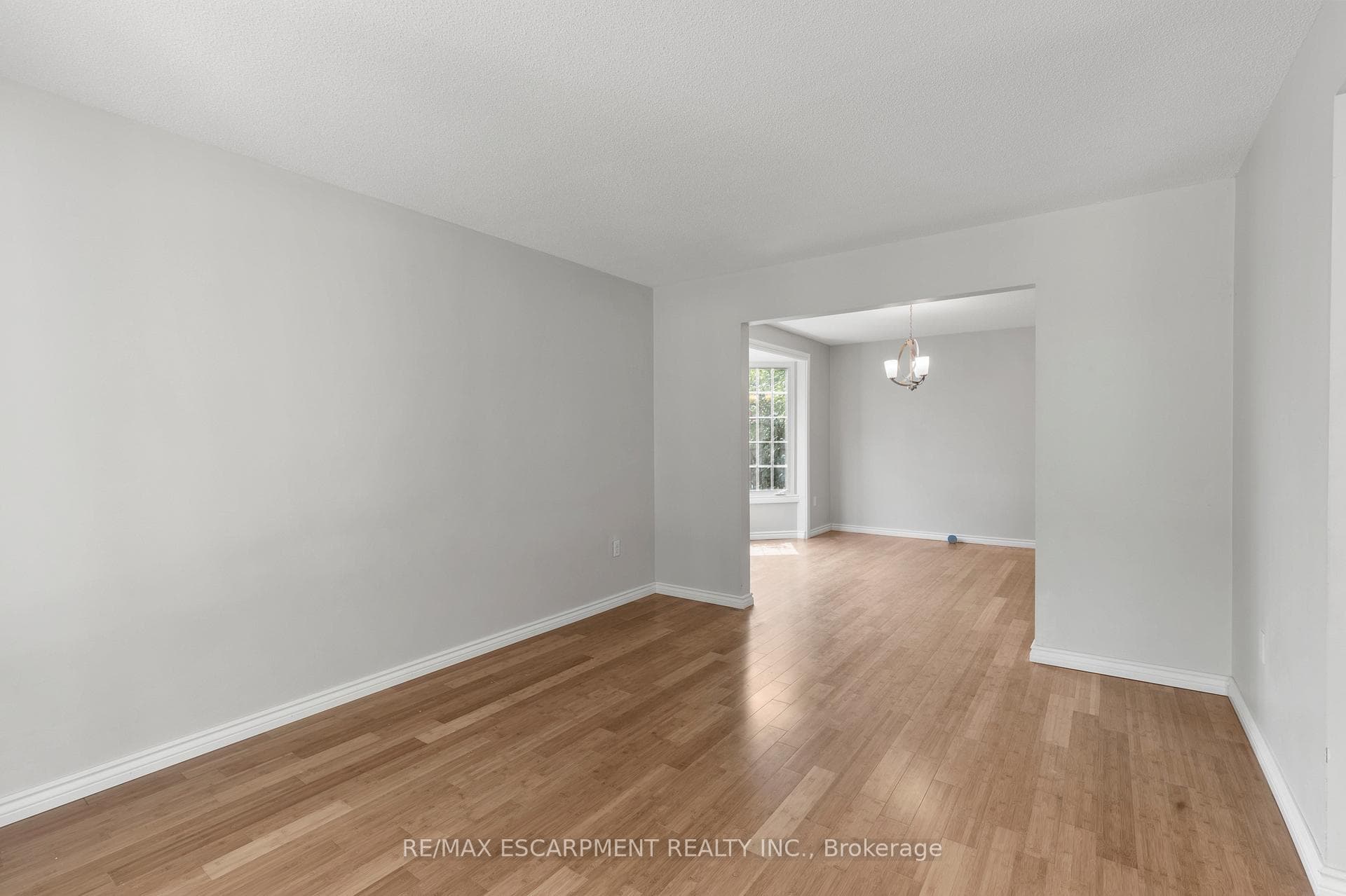 8 Coleman Court photo 6