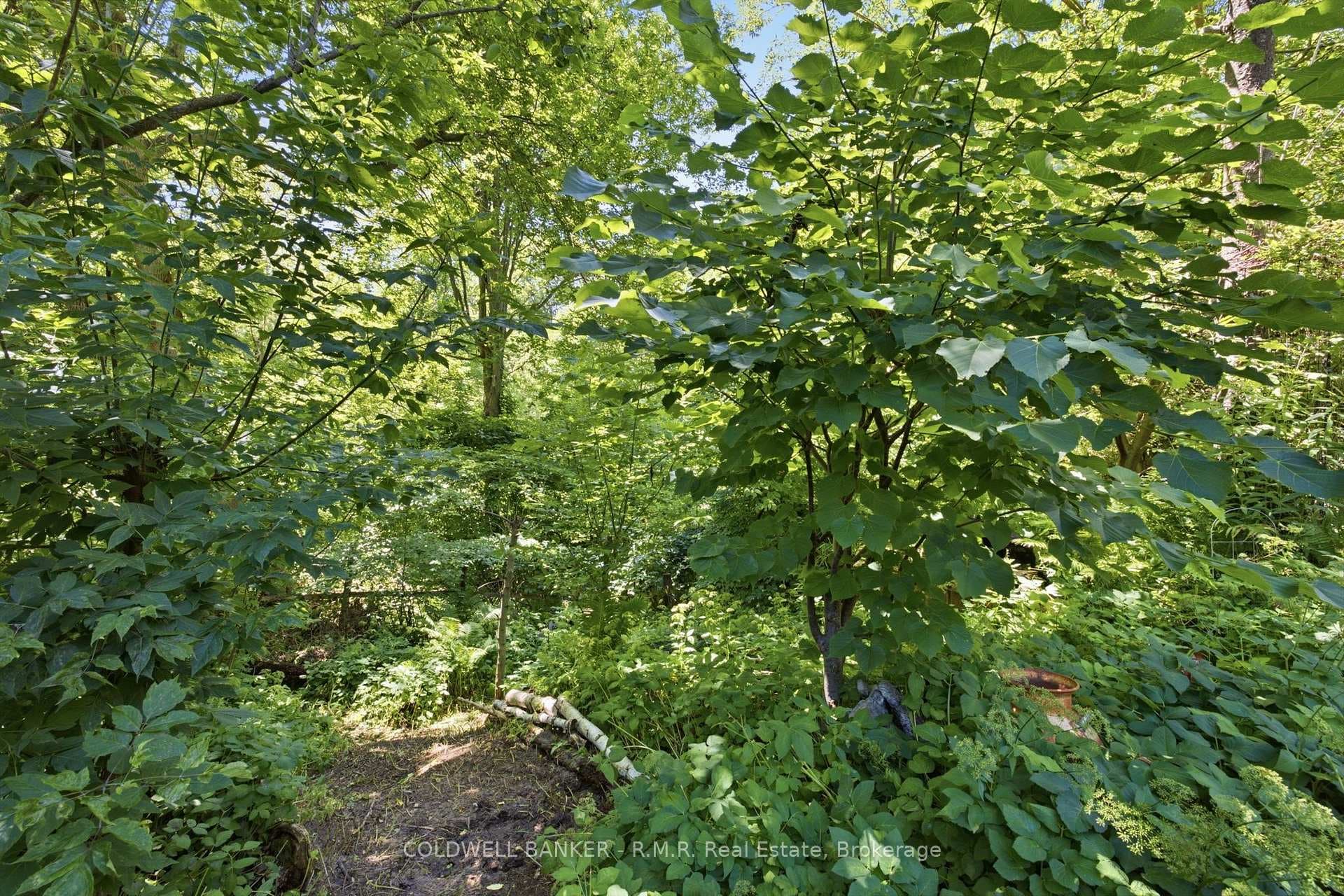 358 Camelot Court photo 15