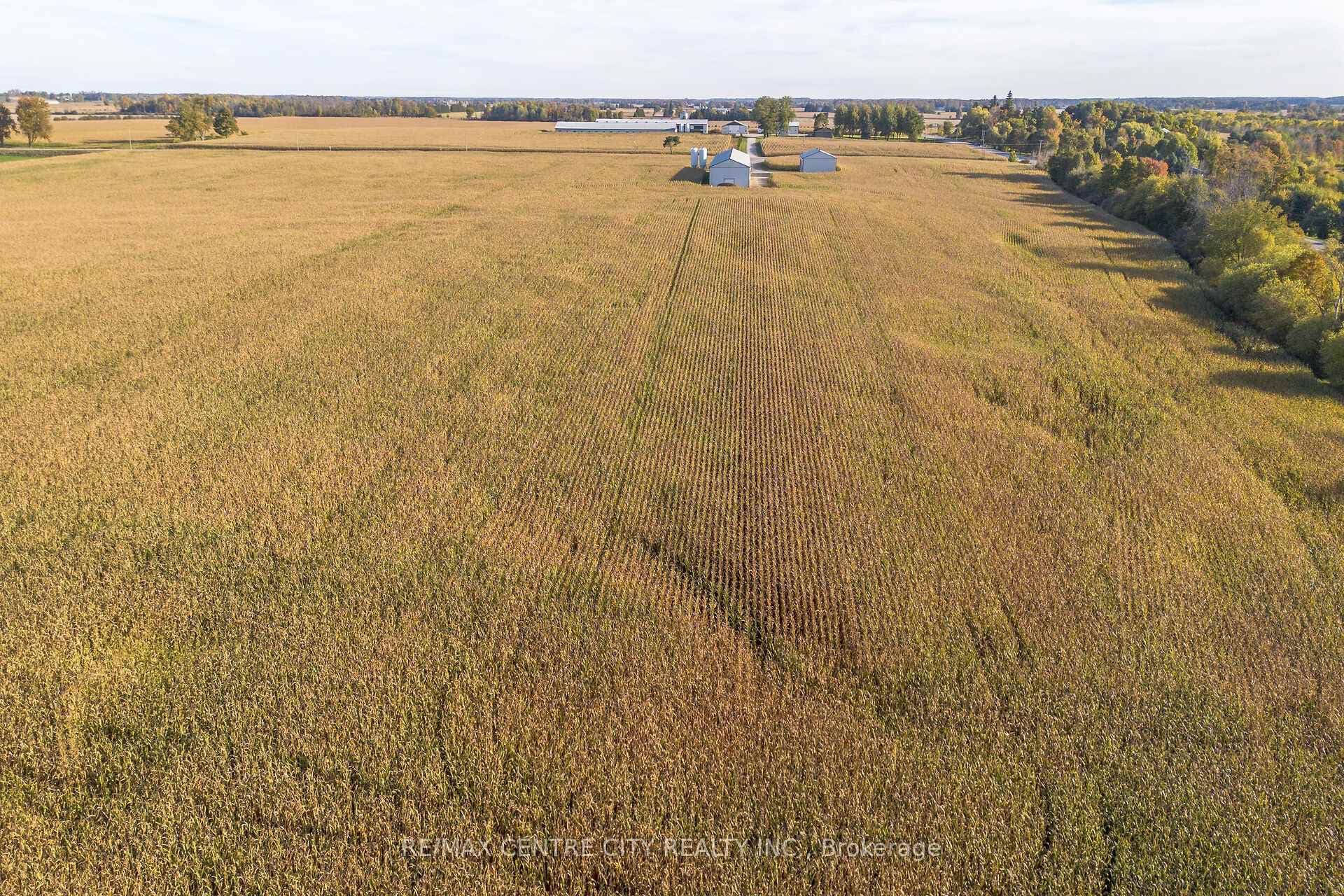 42783 Bridge Road photo 19