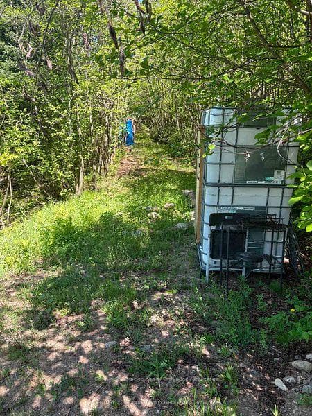 371 Albion Lake Drive photo 7