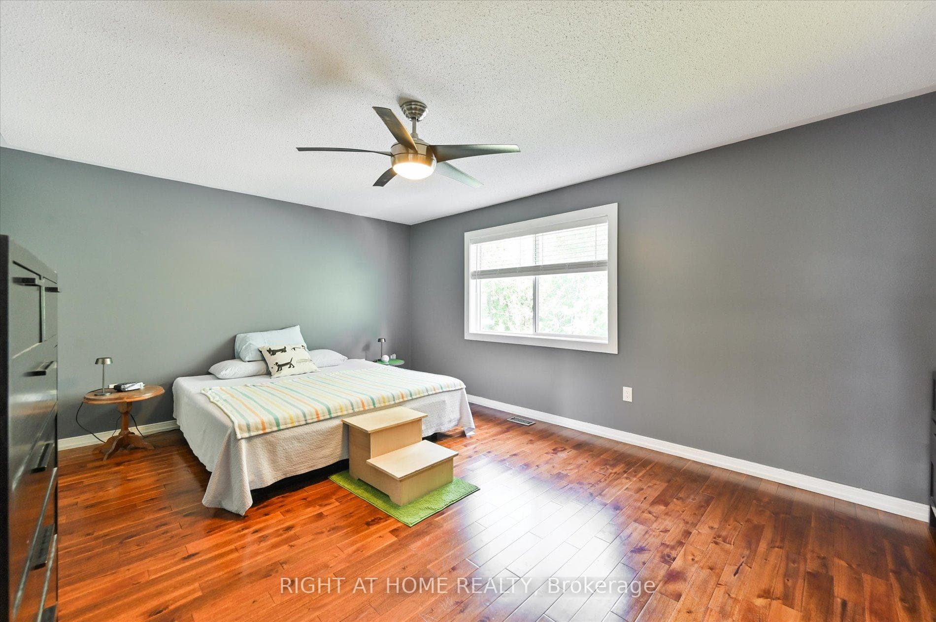 38 Delphinium Avenue photo 11