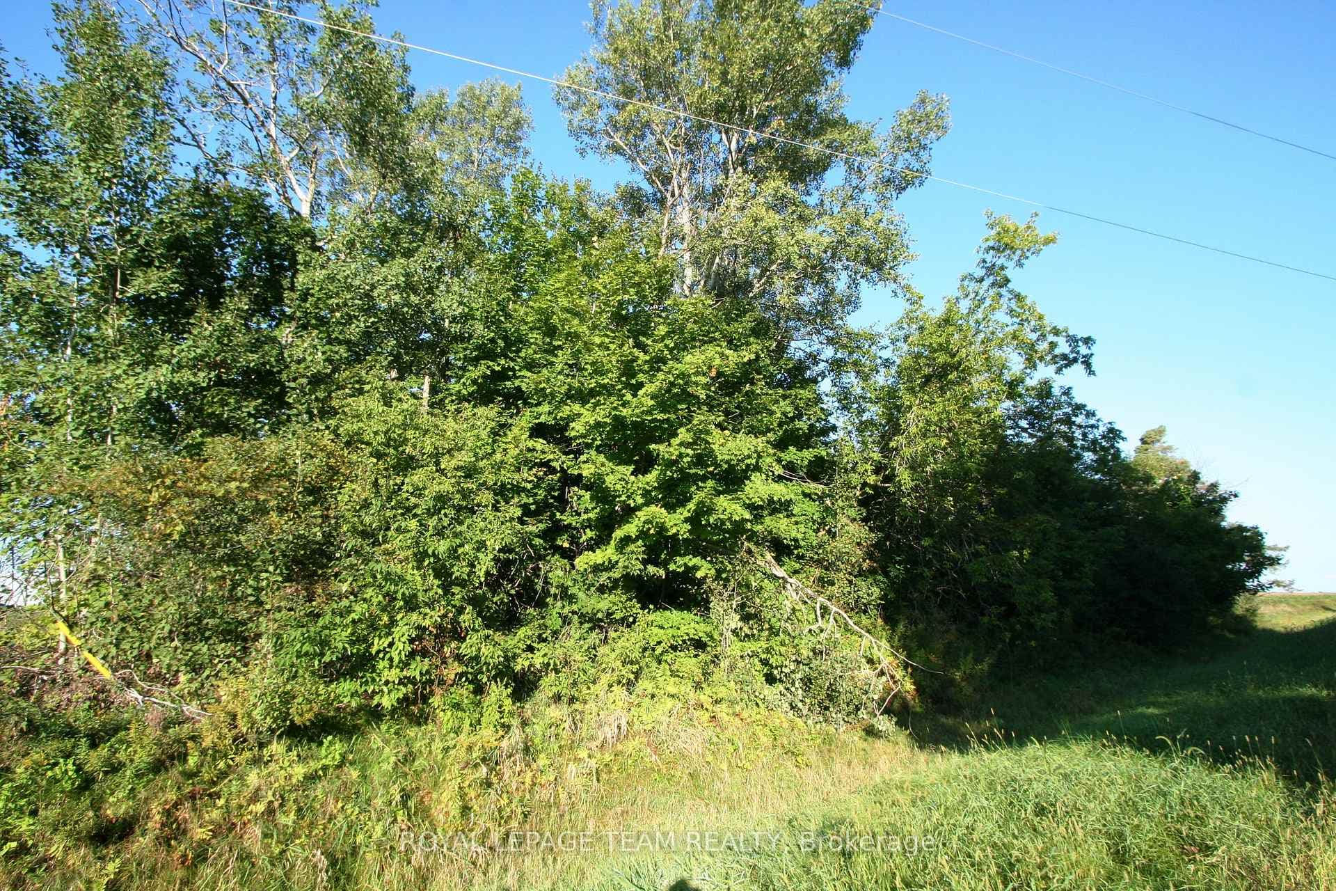 PtLt31 PLEASANT VALLEY Road photo 4