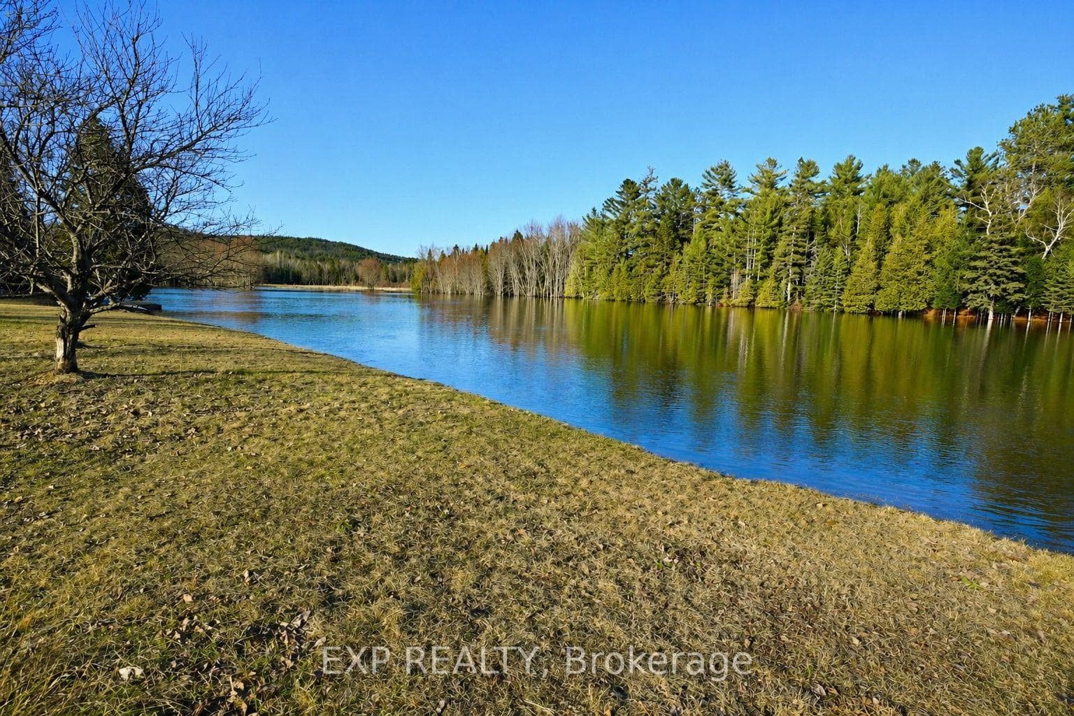 573 A Evergreen Lane photo 38