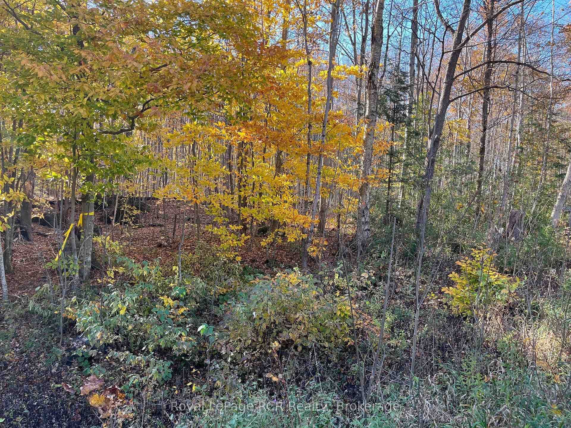Part Lot 17 Grey Road 17 Road photo 6