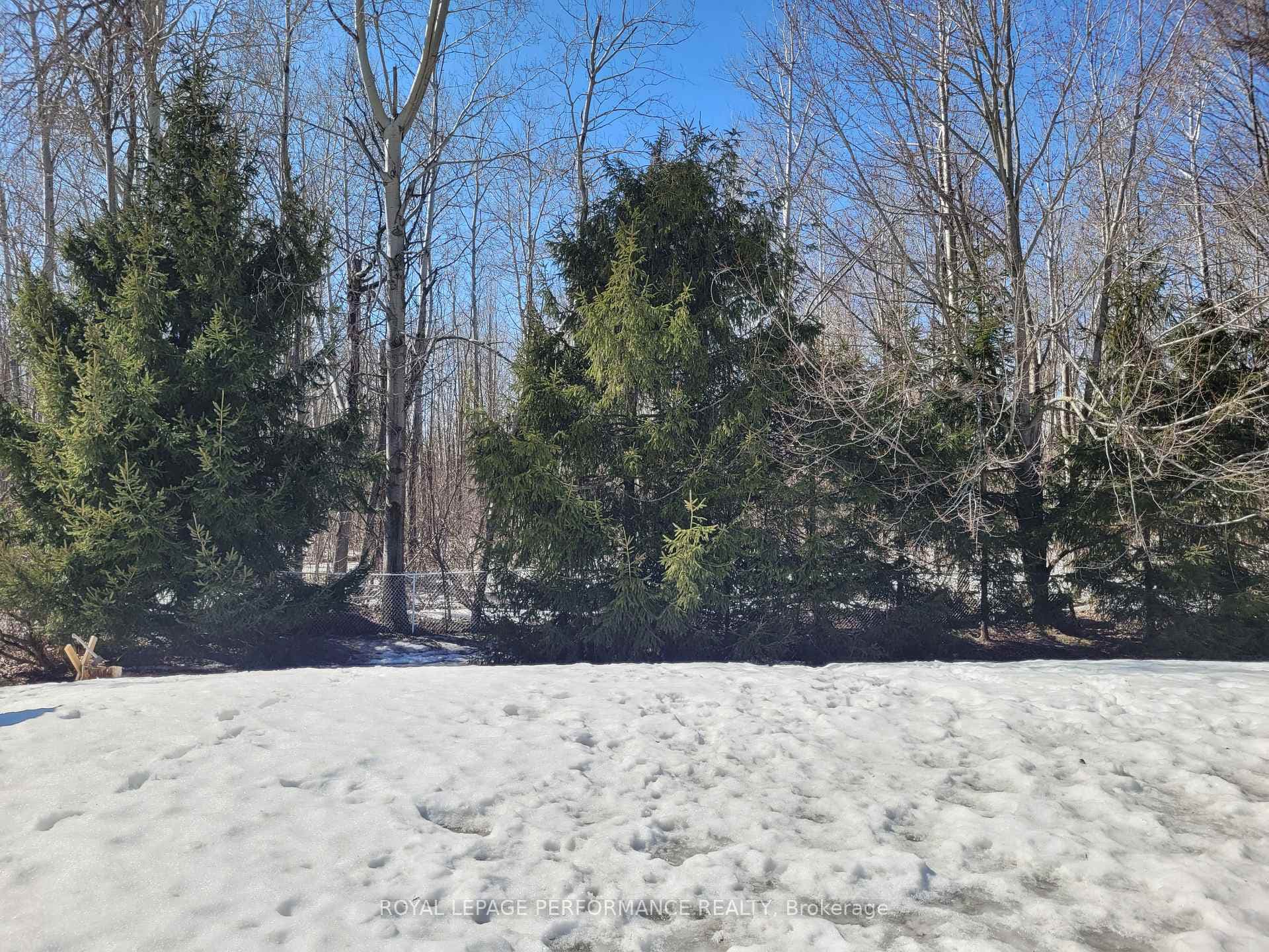 rear fully-fenced yard, backing on forest
