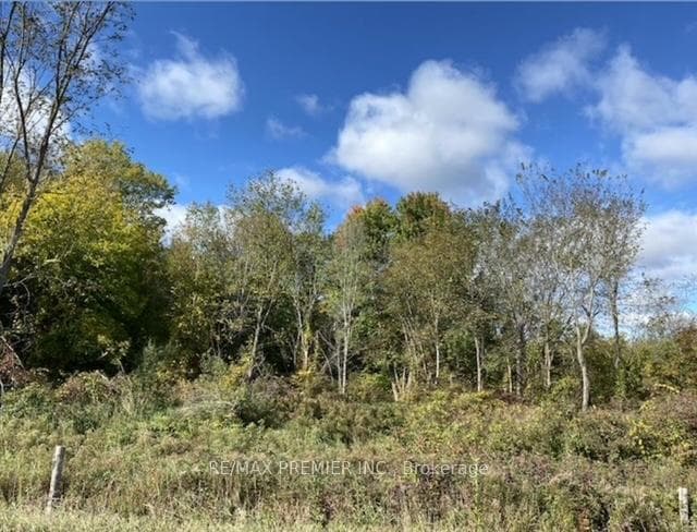 117 O'Hara Road photo 11