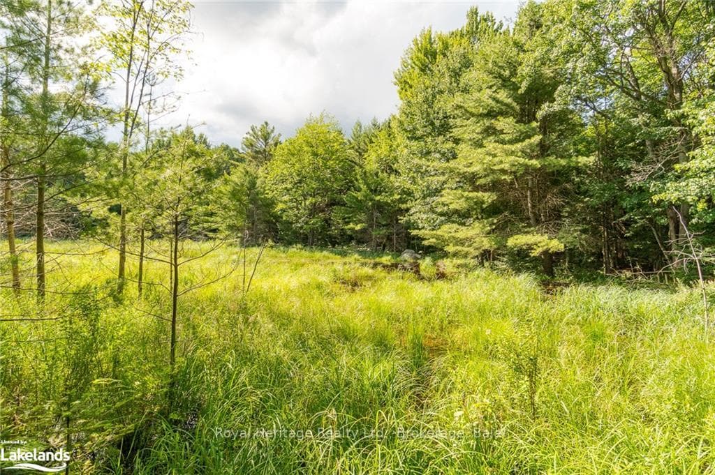 1186 SAM COOK Road photo 30