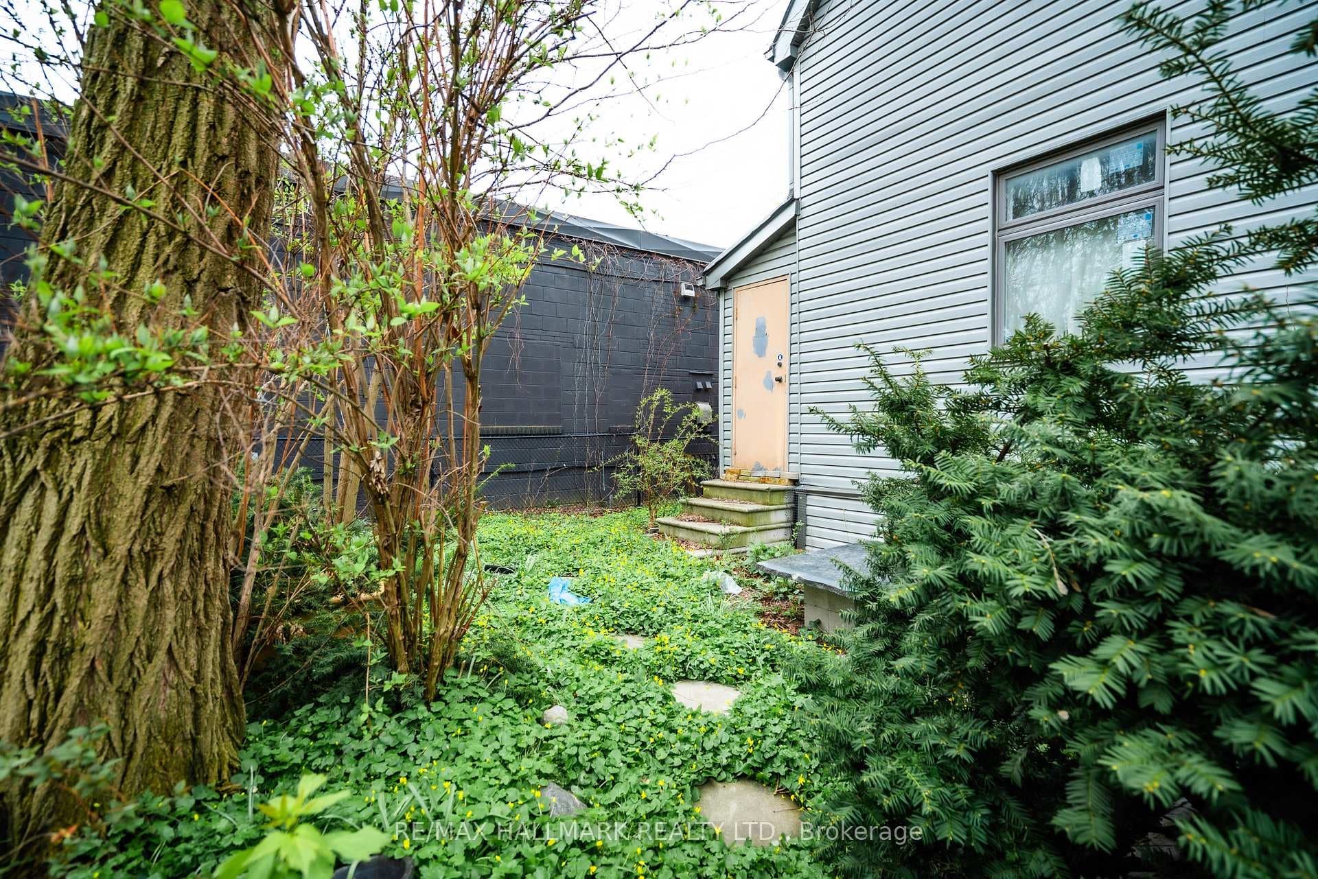 47 Laing Street photo 7