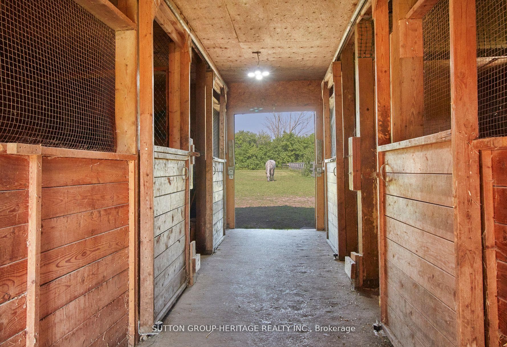 15855 Kydd Road photo 19