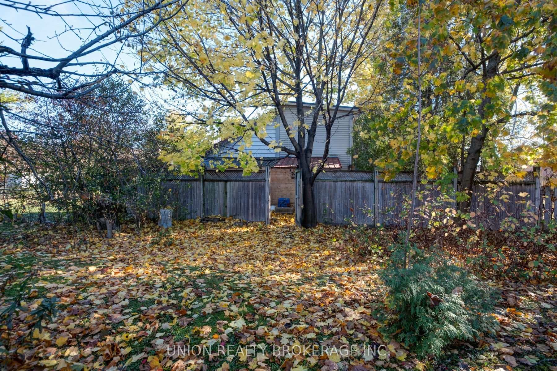 Rear Greenspace