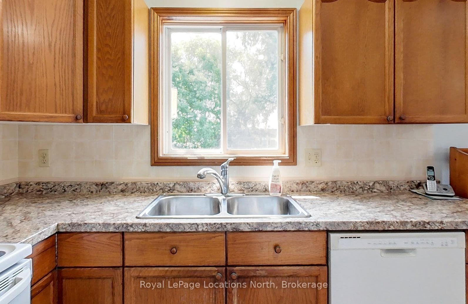7 Albery Court photo 25