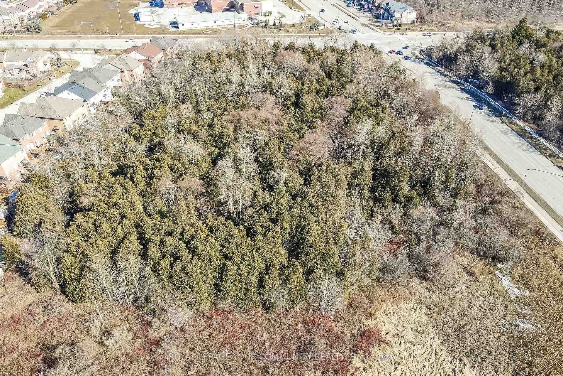 235 Weldon Road photo 31