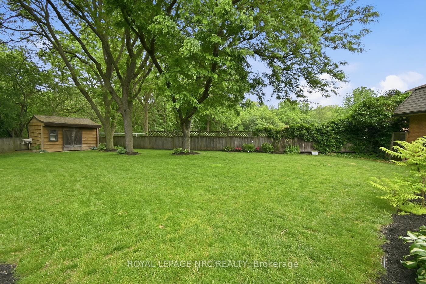 So much backyard space and privacy