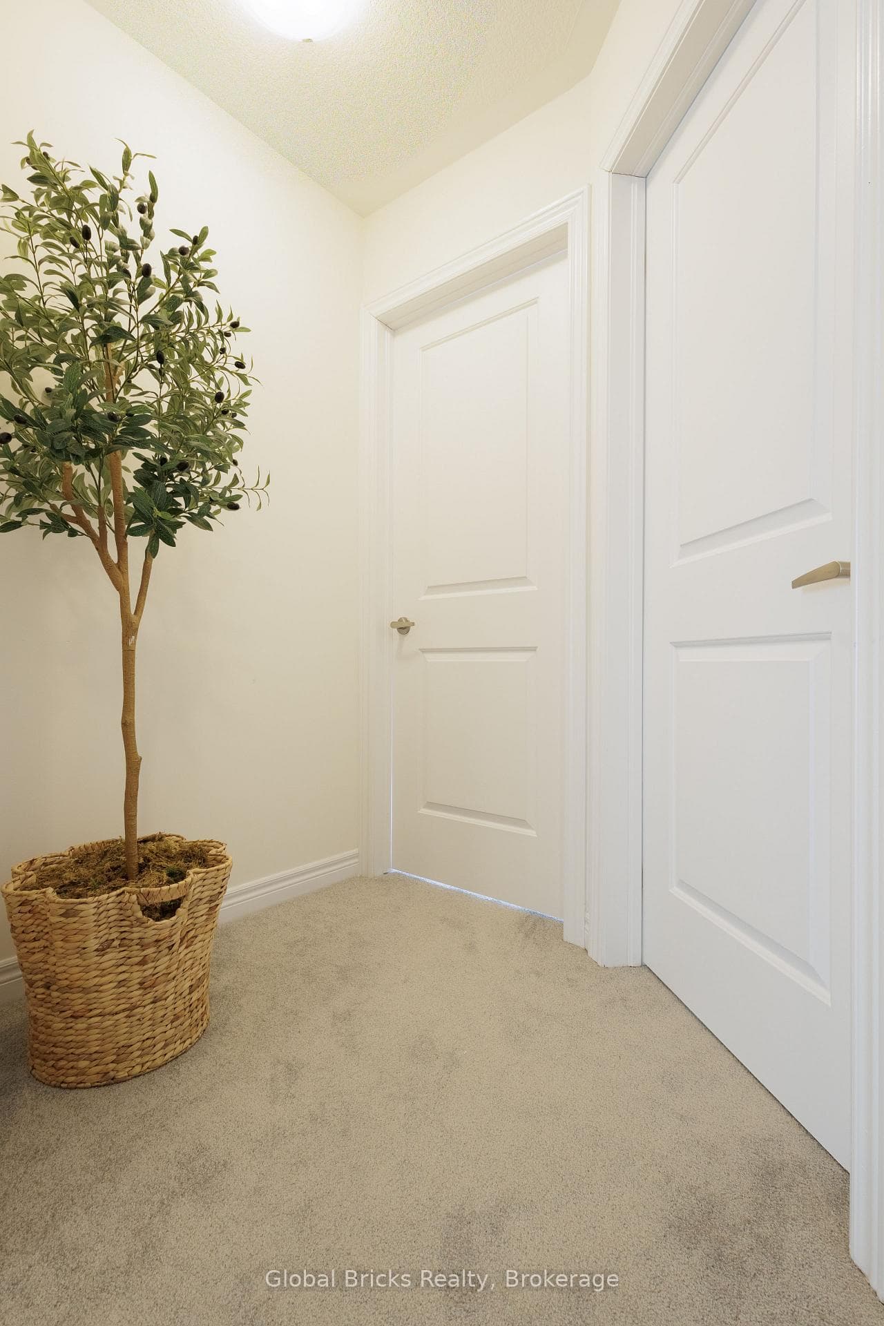 192 Broadacre Drive photo 23