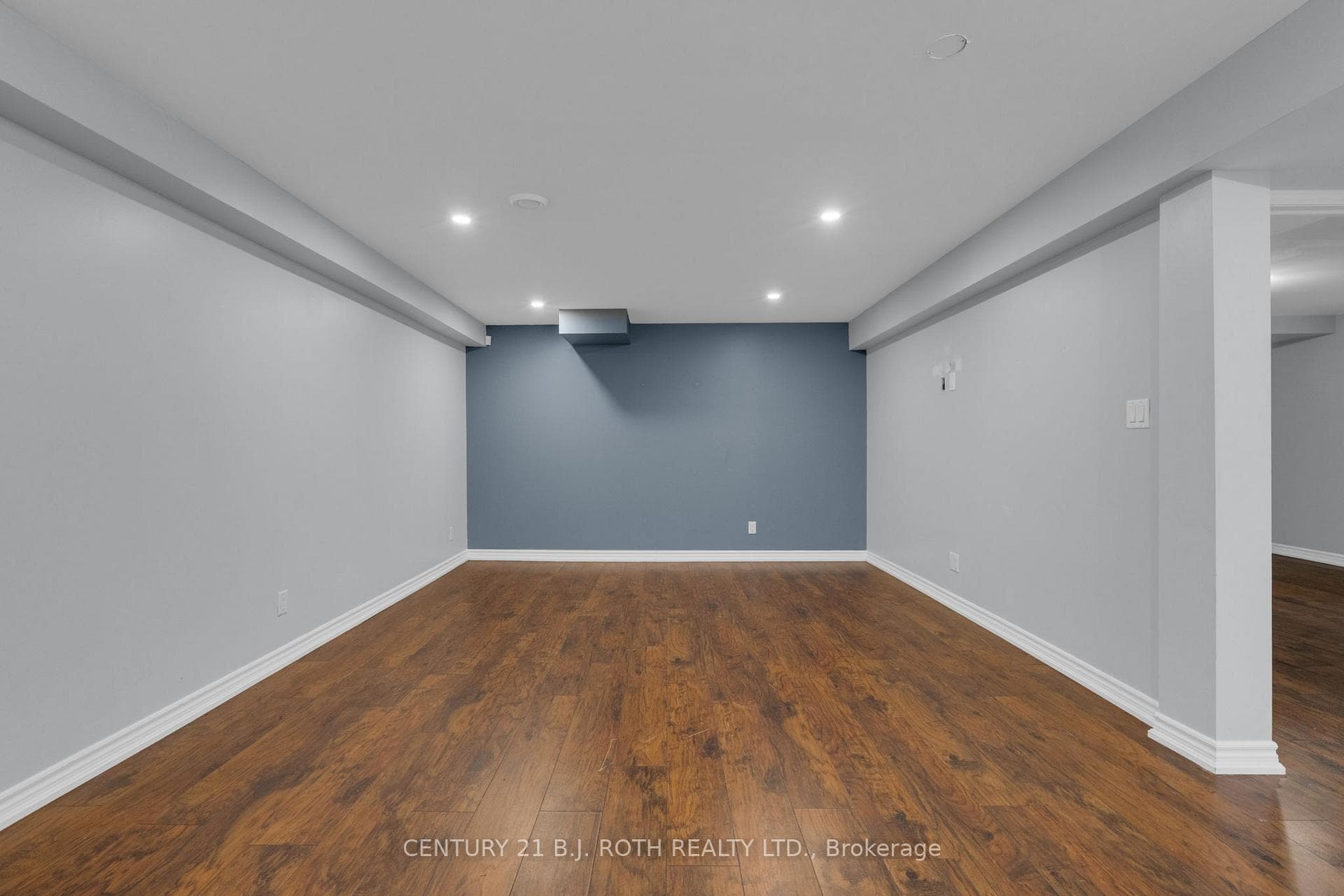 Basement Family Room