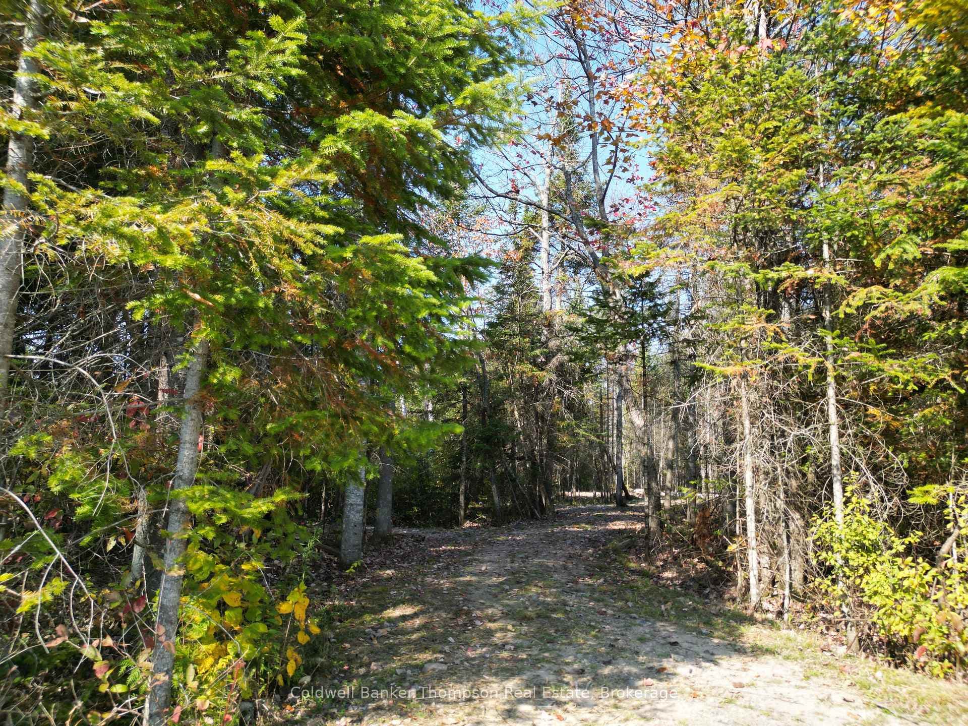 809-865 Spring Hill Road photo 7