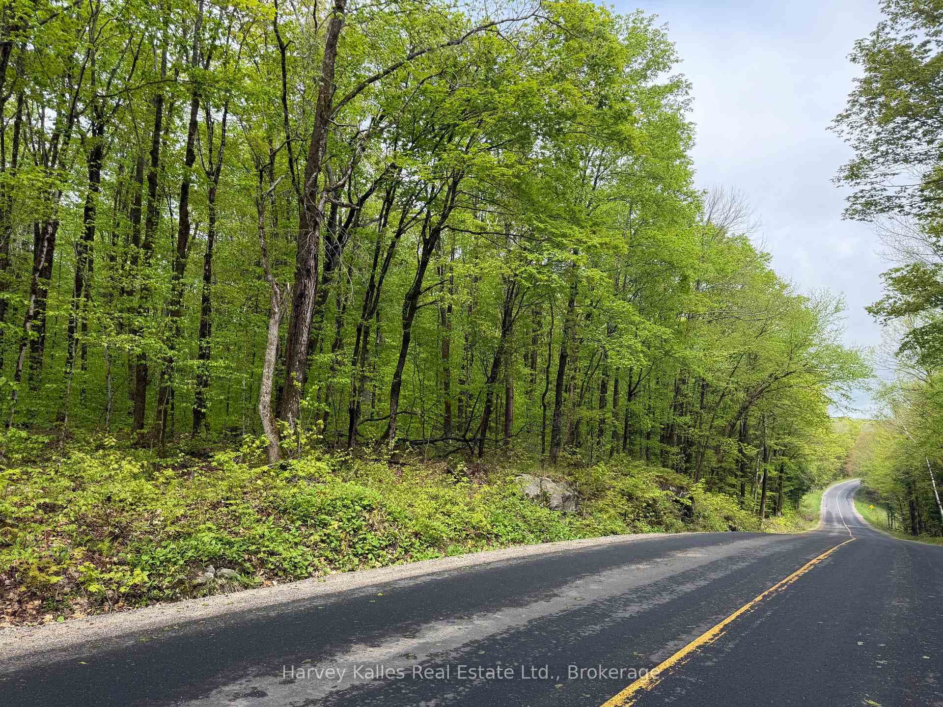 13.28 Ac vacant lot with 1,133ft. of road frontage