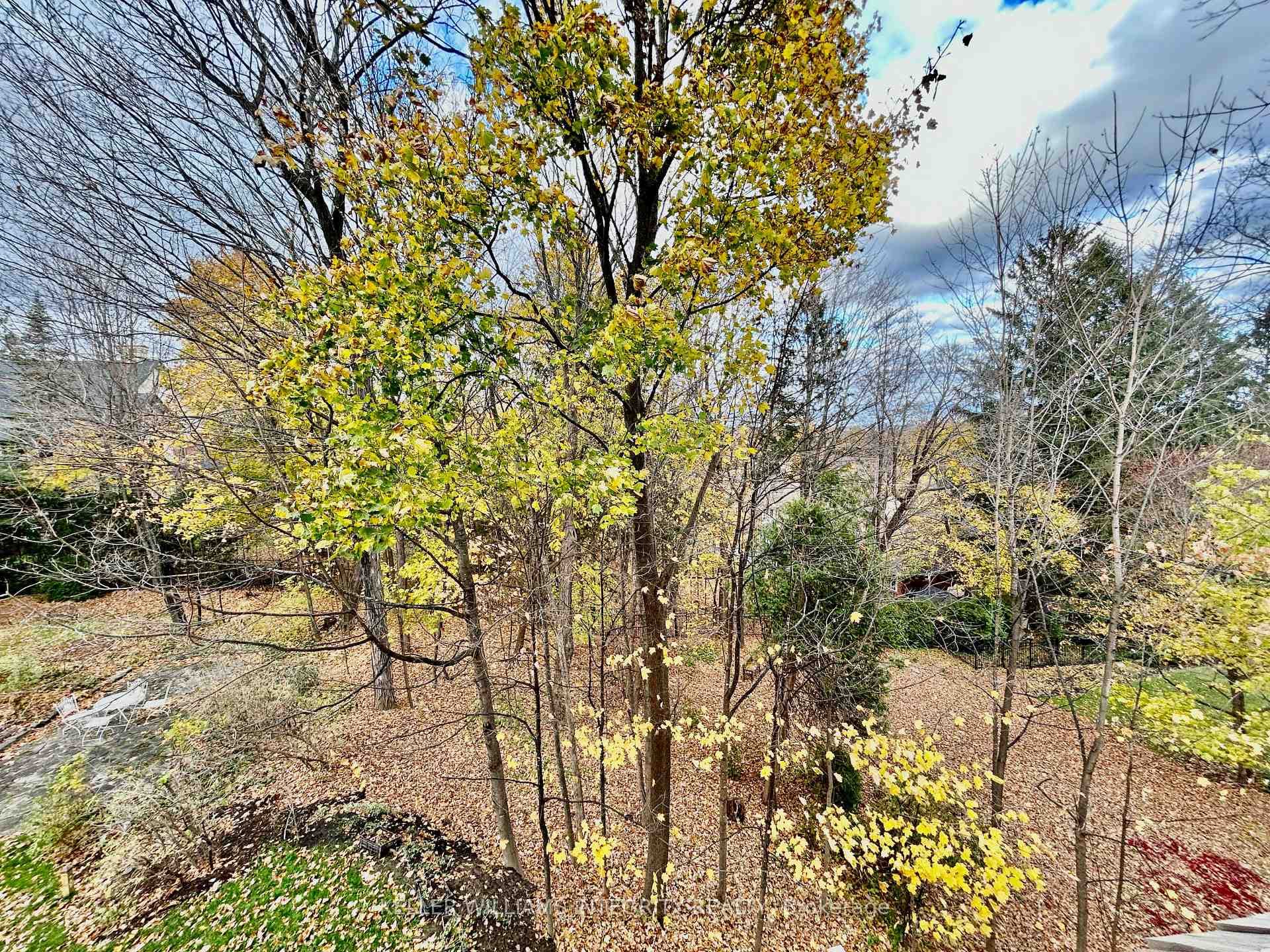459 Buena Vista Road Unit A photo 27