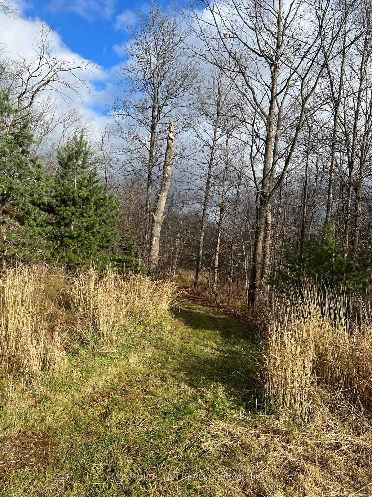 195 Woolverton Road photo 37