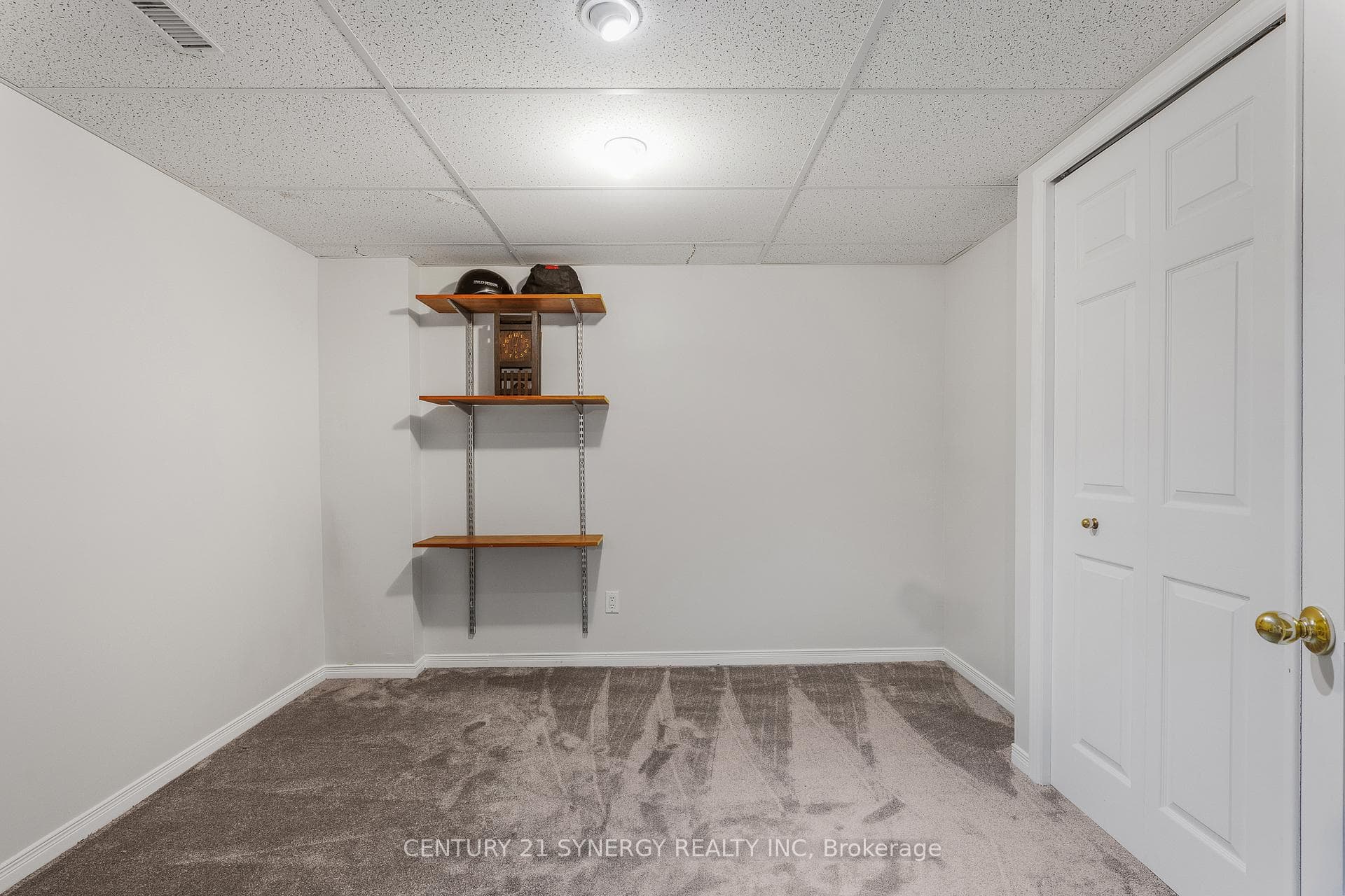 Basement Den