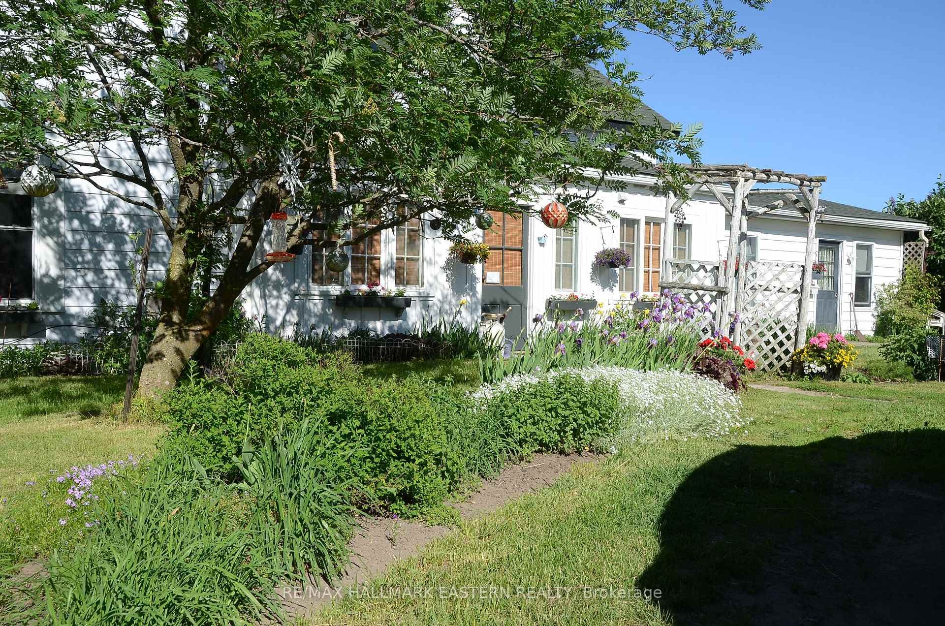 Lovely Easy Care Perennial Gardens