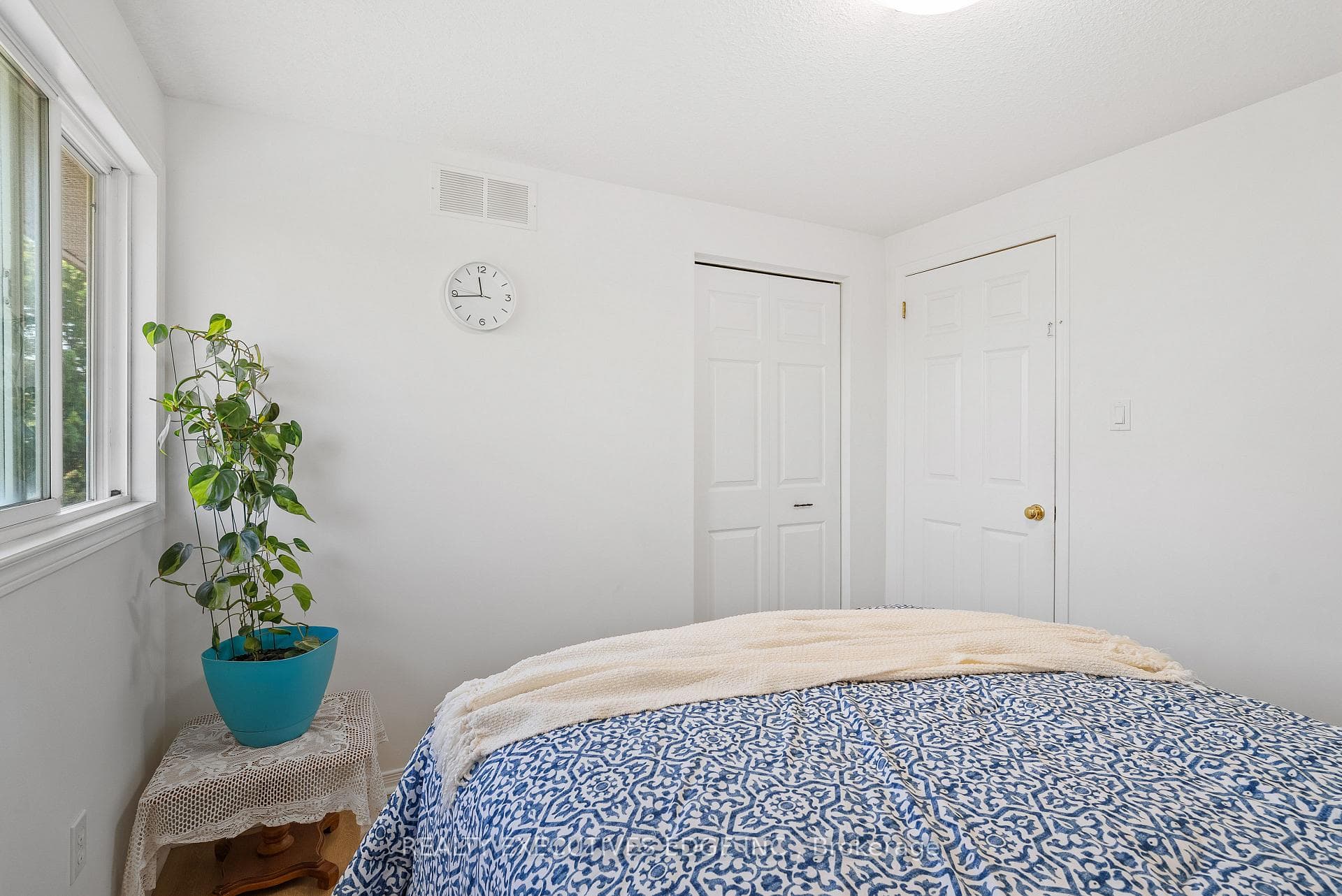 17 Beattie Street photo 27
