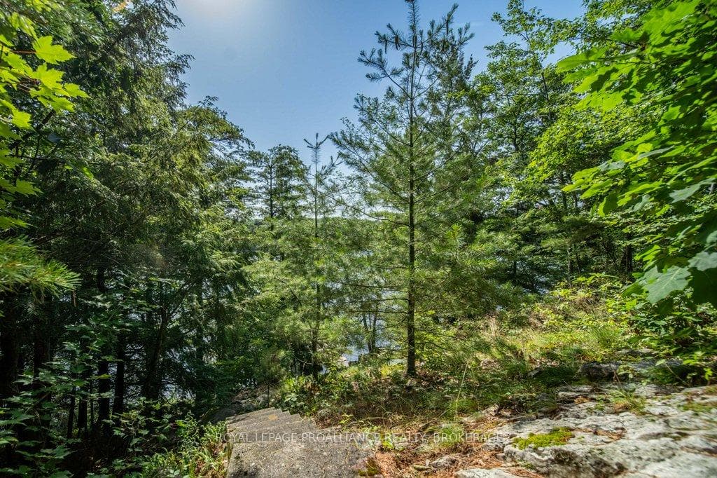 811 Hermit Thrush Lane photo 31
