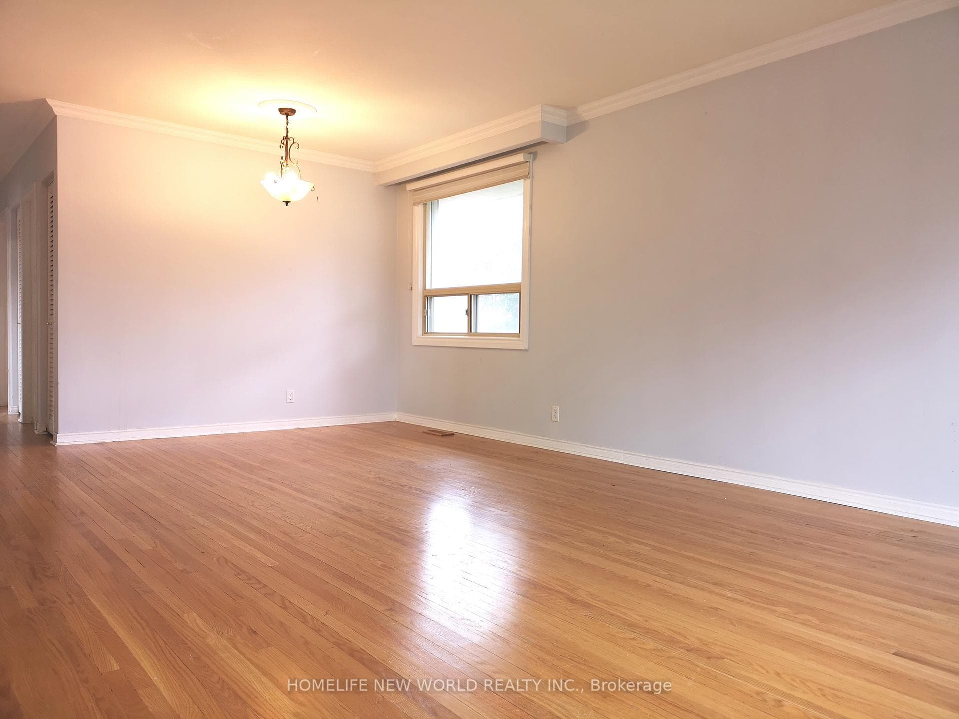 158 Wincott Drive photo 5