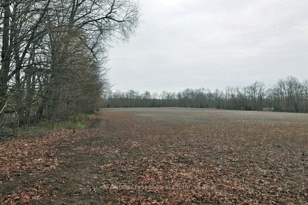 324 Thomasburg Road photo 45