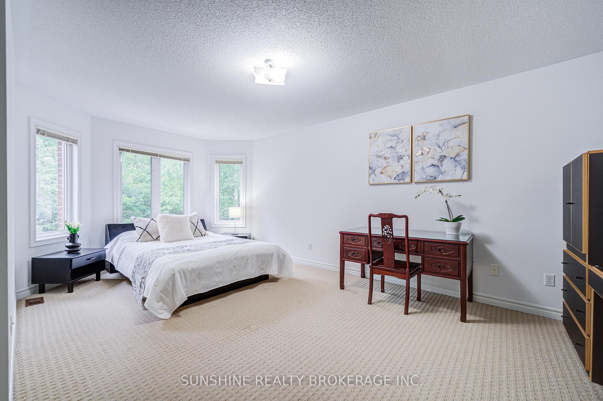52 Abilene Court photo 20