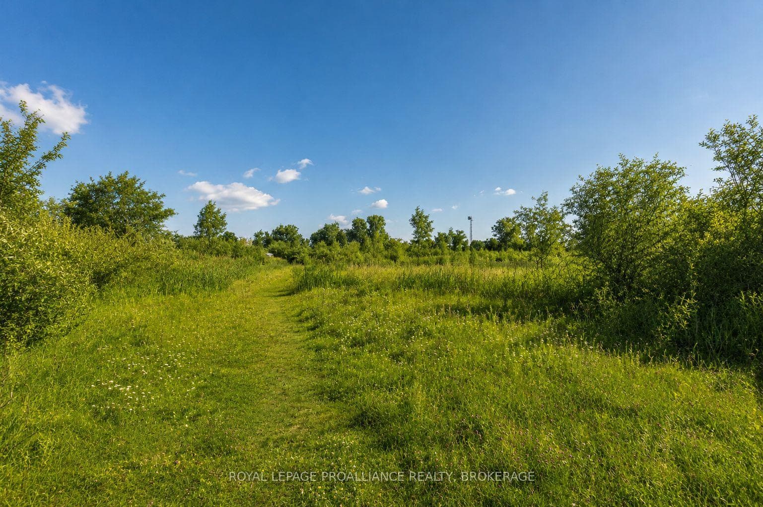 Lot 75-81 Plan 65 Cross Street photo 1