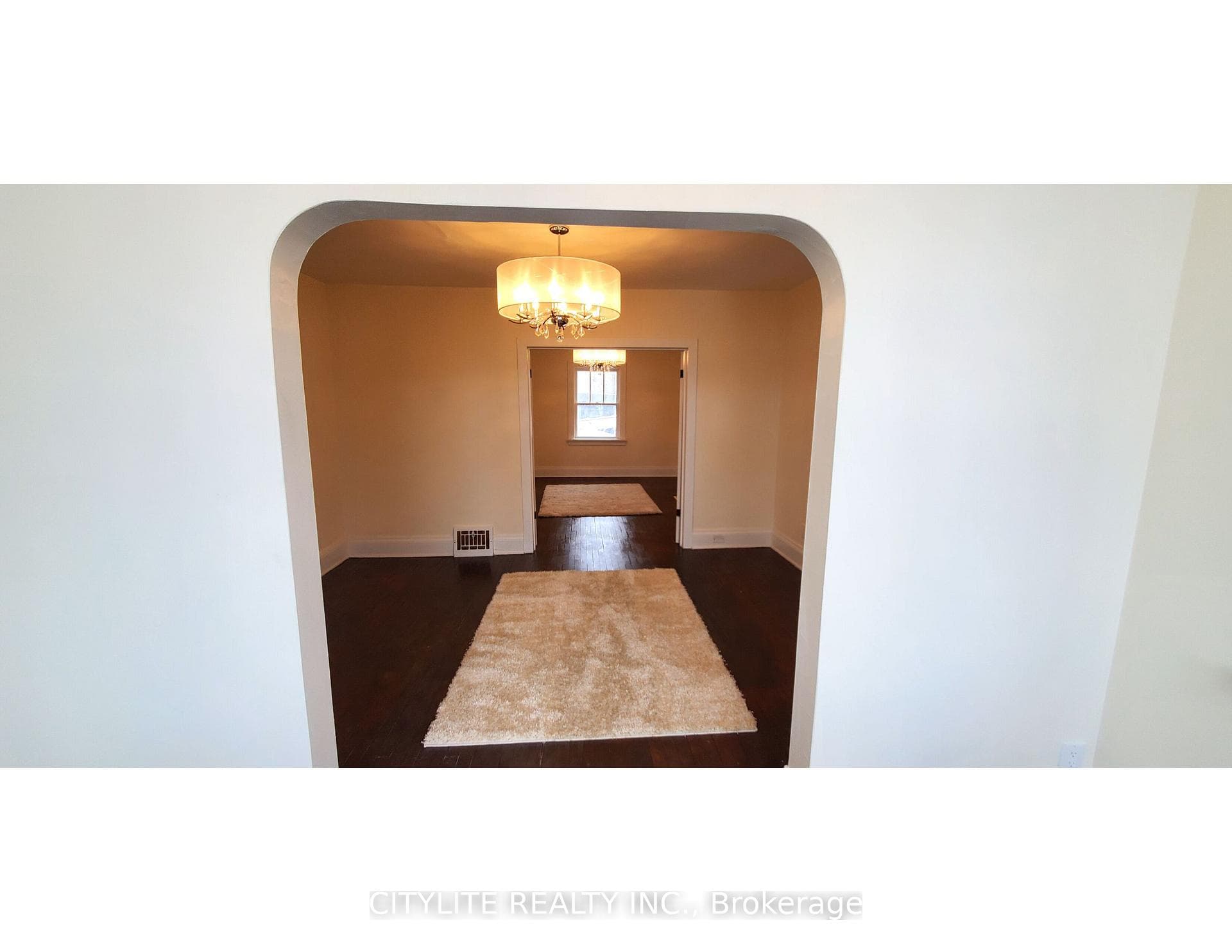 244 Albert Street photo 4