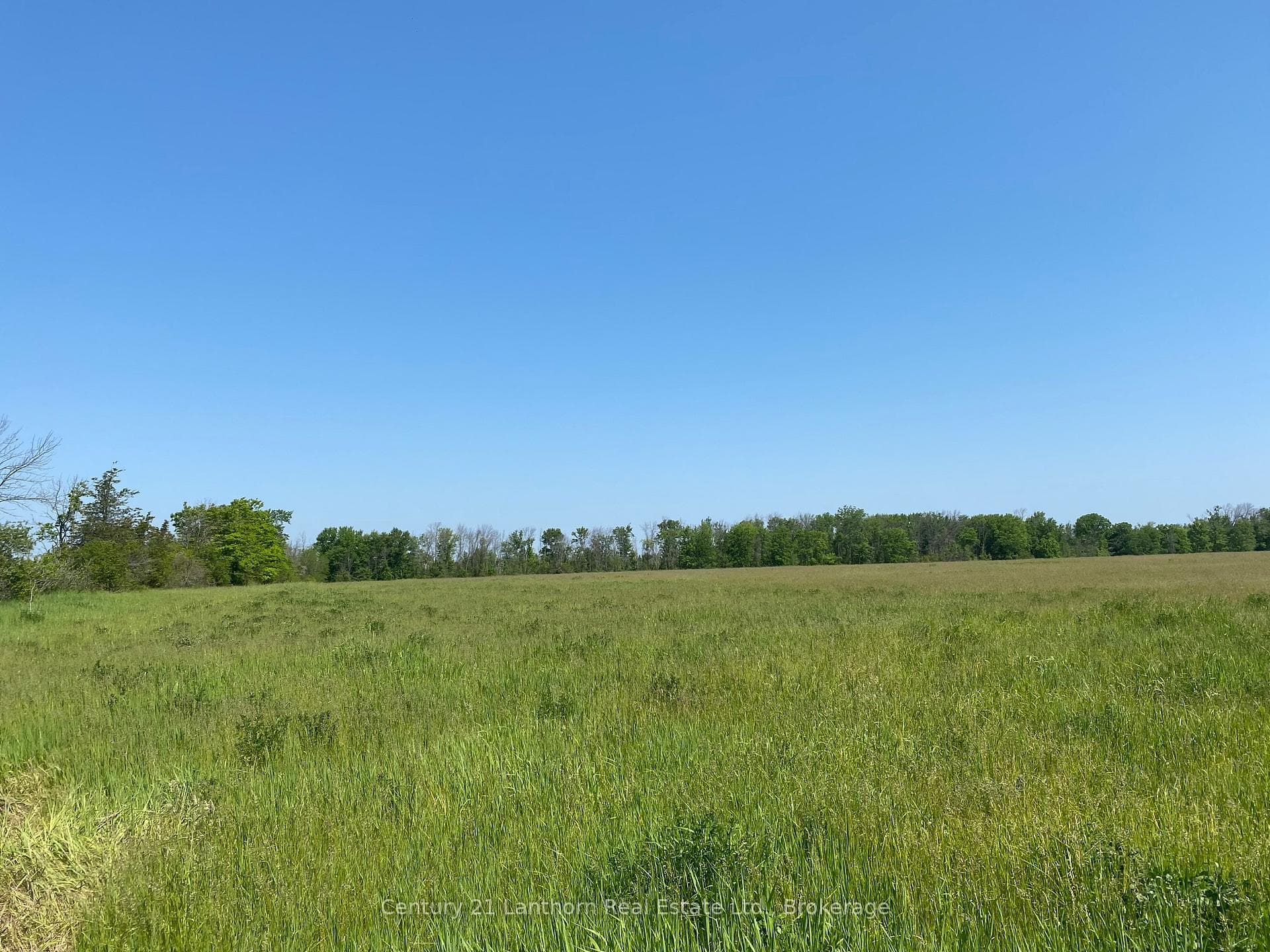 Farmed area with hay