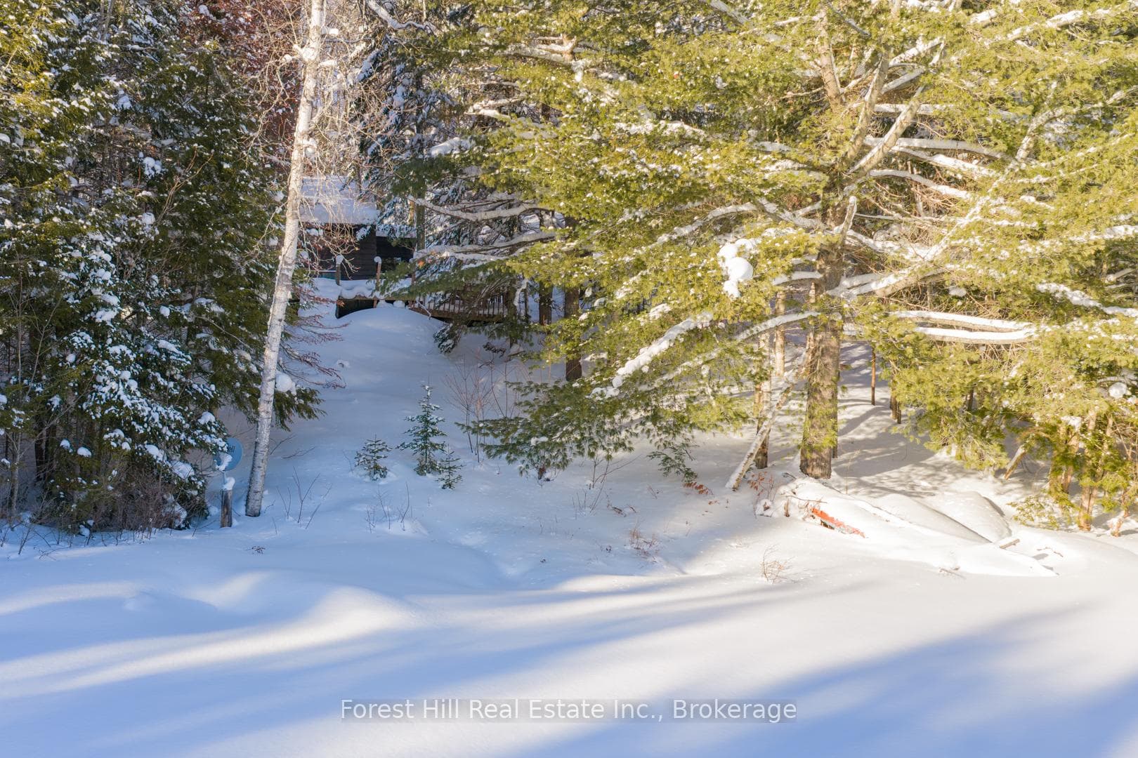 1107 Crane Lake Road photo 6