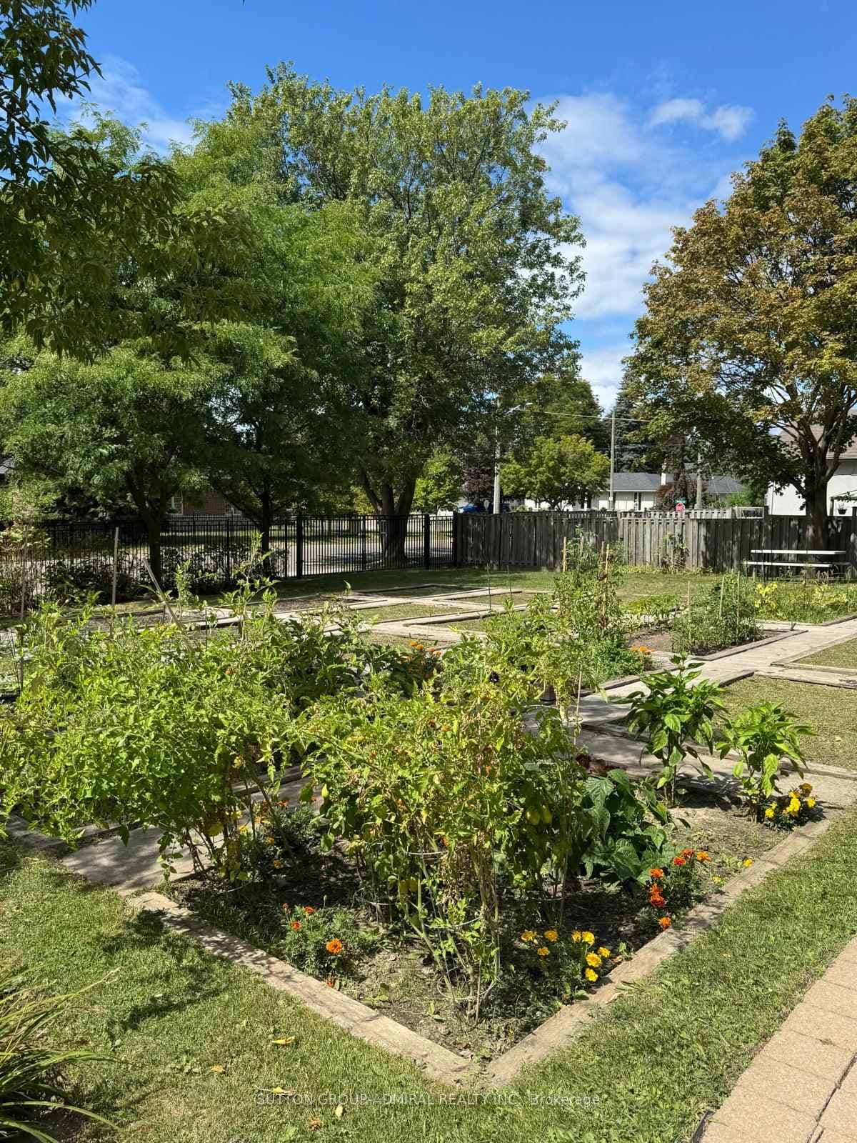 Communal Garden