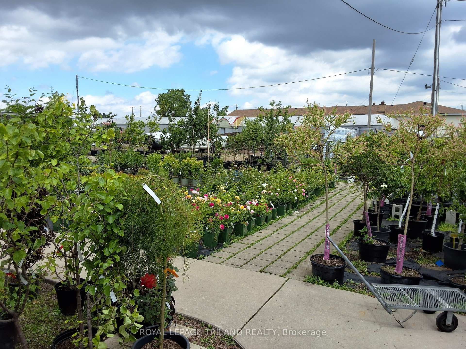 1720 Gore Road photo 4