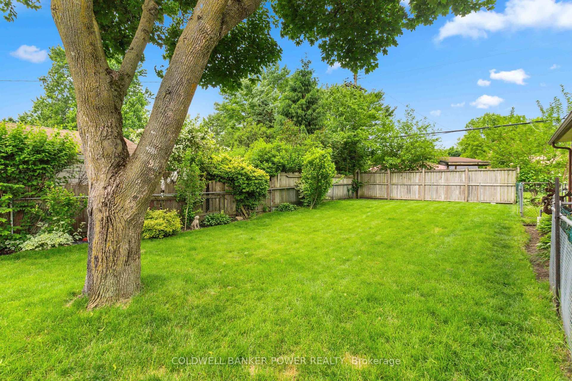 1235 Michael Street photo 29