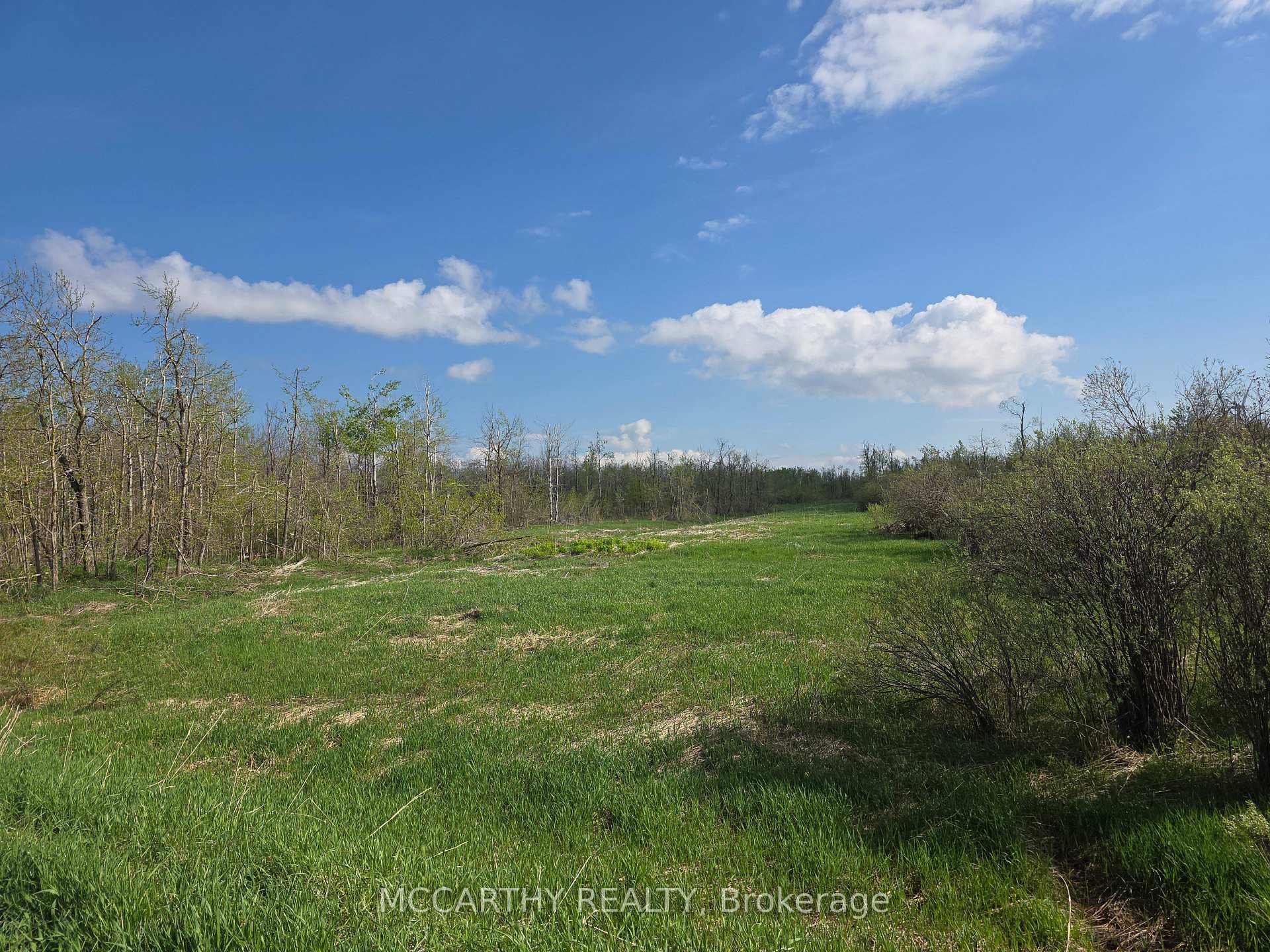 238527 4th Line photo 18