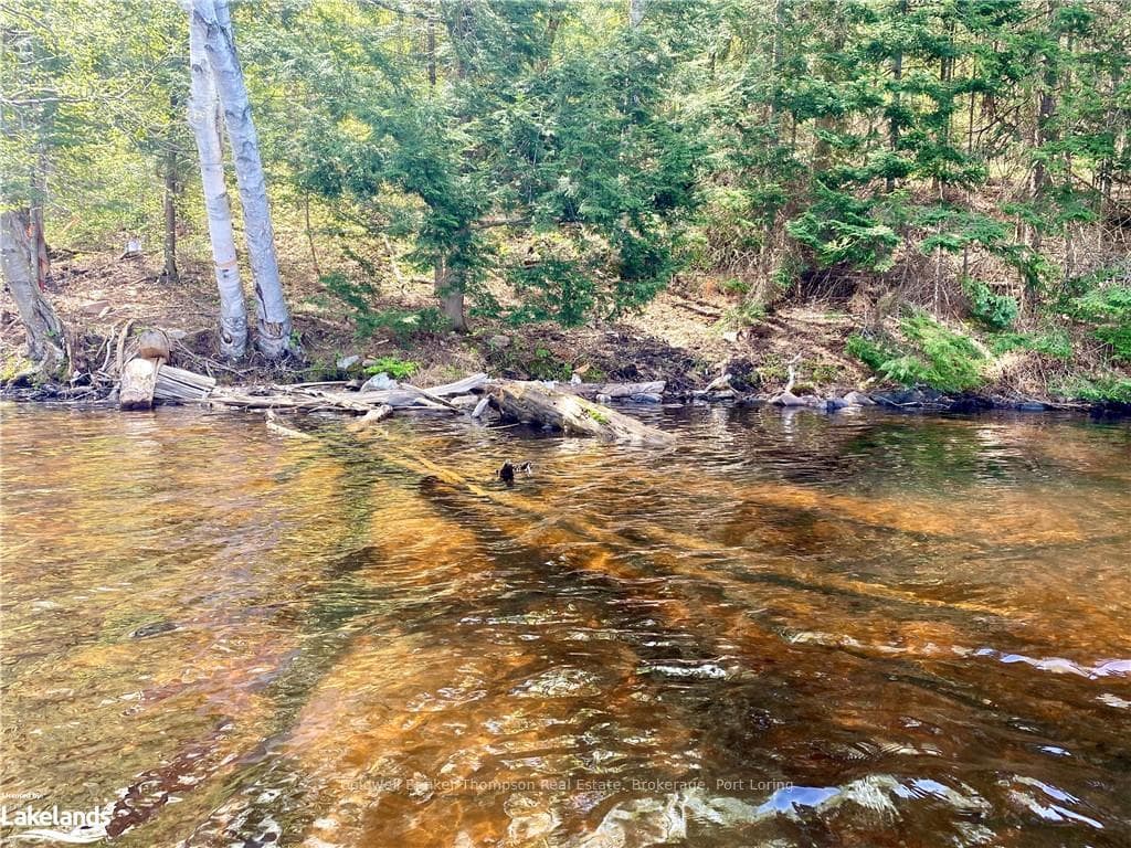 06-A TOAD LAKE N/A photo 16