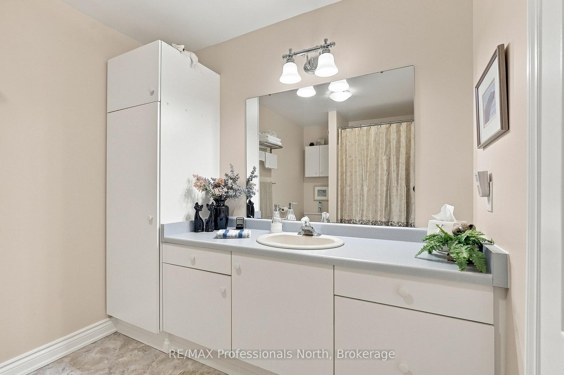 8 PALMER Court photo 47